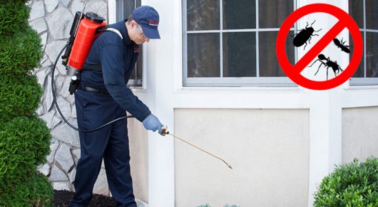 Yahşihan Karınca İlaçlama böcek ilaçlama ve haşere kontrolü — ilaclama-tr.com